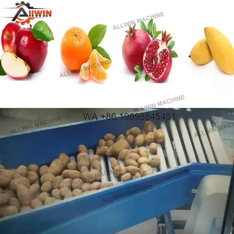 Wmwmnu for Automatic Fruit Vegetable Sorting Grading High Efficiency 1200kg/h Capacity Factory Price for