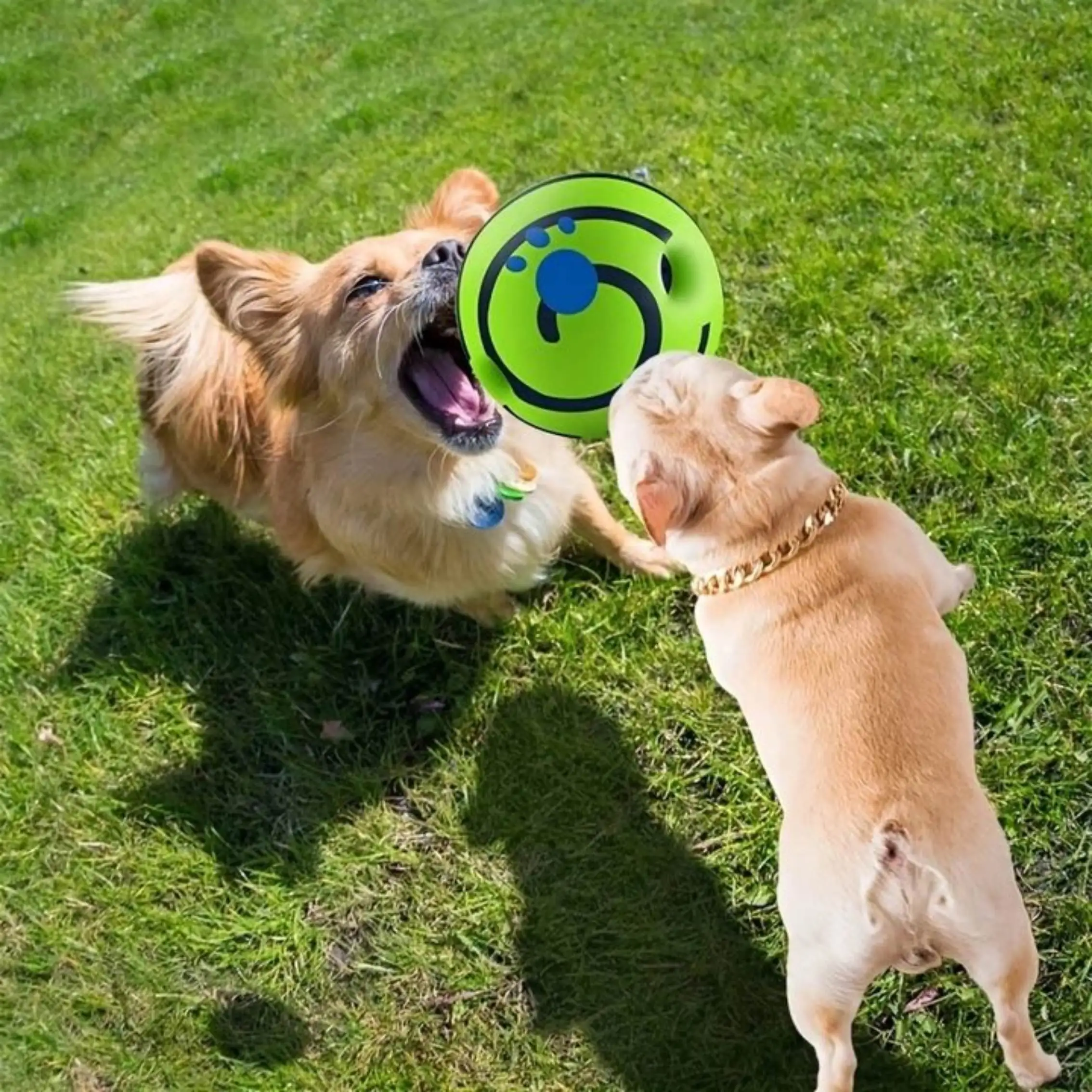 Pet Dog Toy Ball Wobble Wag Giggle Sound-Emitting Glow Ball Interactive Dog Toy Funny Indoor or Outdoor Play Agility Training