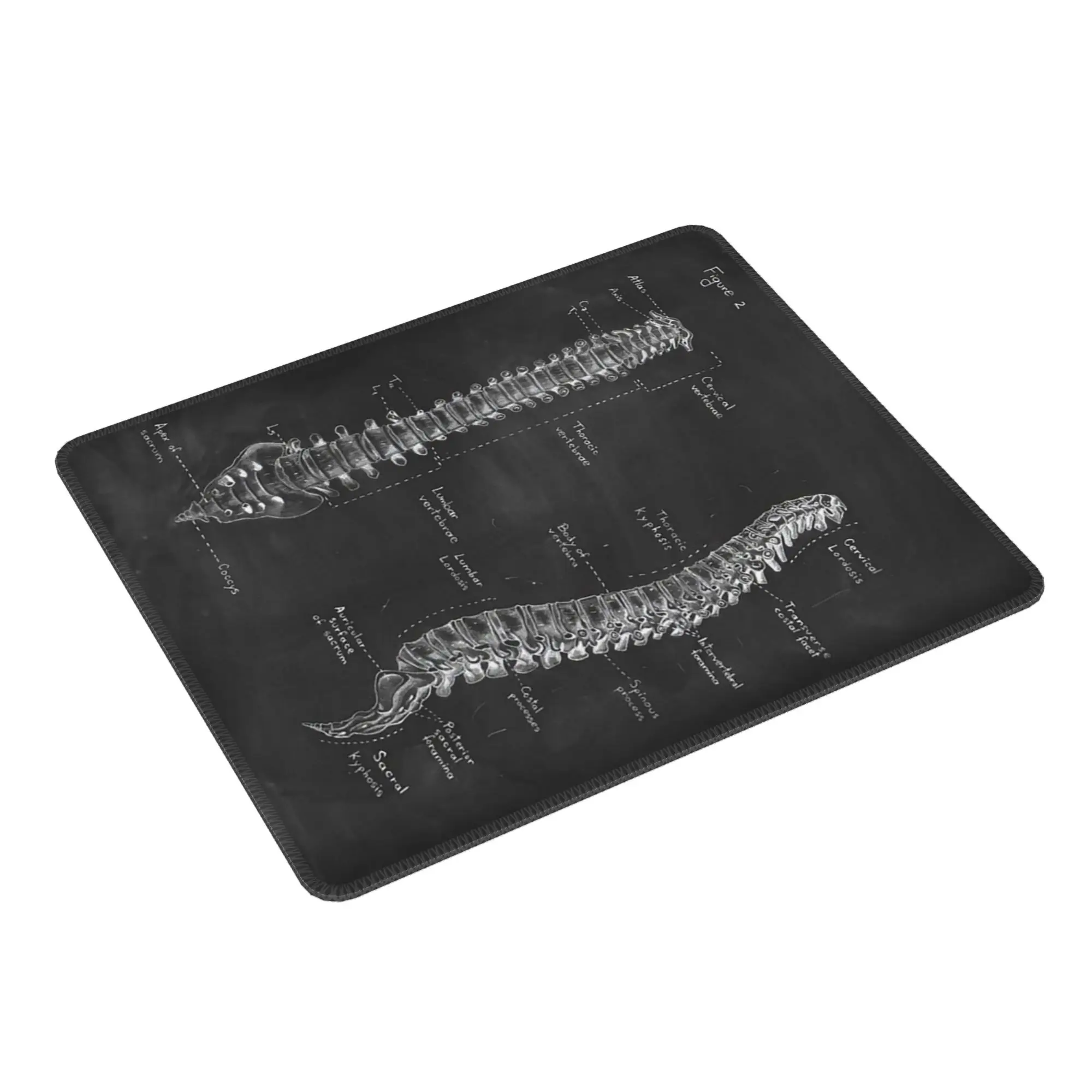 

Анатомия позвоночника на доске, черный и белый коврик для мыши, компьютерная клавиатура, коврик для мыши, игровой коврик для ноутбука, офисные коврики для стола