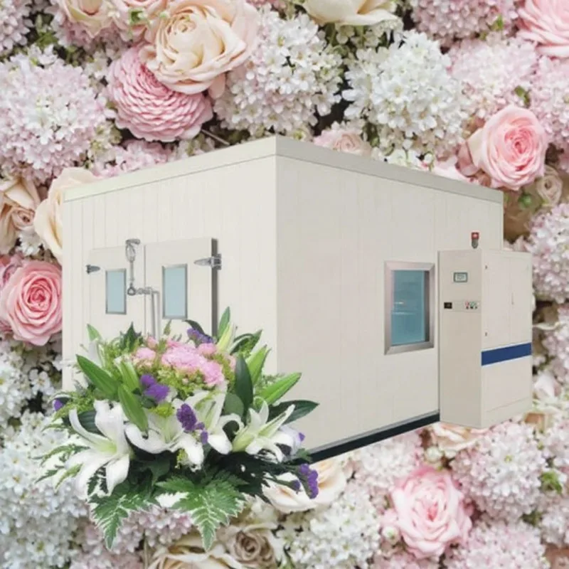 Quick Installation Good Quality Environmentally Cold Room Long Service Life Cold Storge Container for Fruit Preservation
