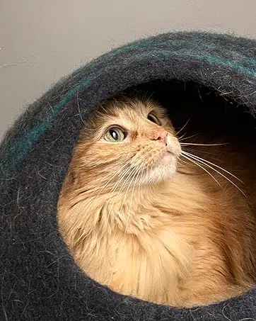 cat cave