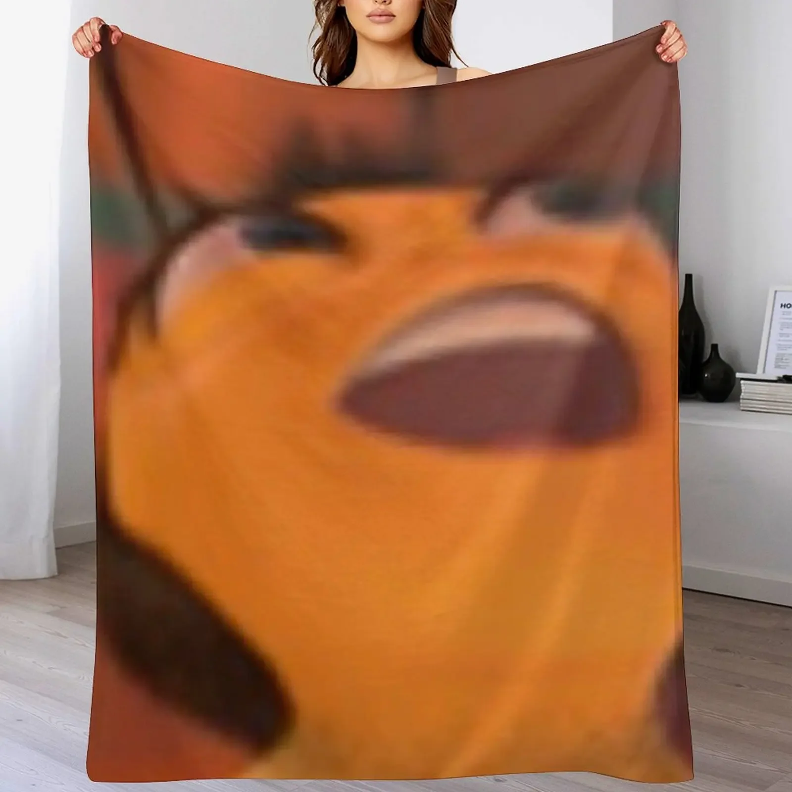 

Barry Benson Bee Movie Meme Throw Blanket Cozy Microfiber Throw Blanket for Home Bedroom
