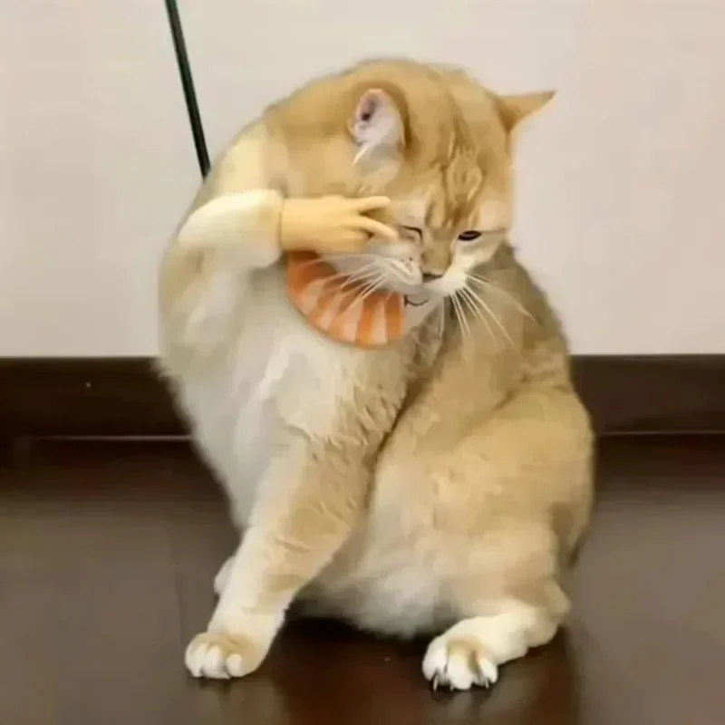 Katzen-Finger-Gesten-Handschuhe Kreatives Dehnbares TPR-Spielzeug Hohe Elastizität Interaktives Katzenspielzeug Sicheres Haustierspielzeug Lustiges Tierpfoten-Design – Detail 15