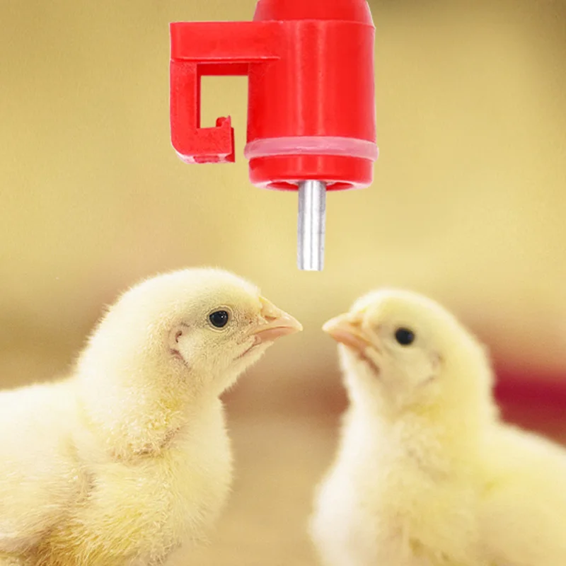 

Custom Factory Price Chicken Drinking System Mounted Poultry Nipple Drinker Automatic 360 Degree Drinking Nipples For Chicken