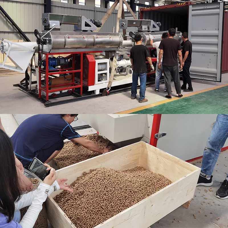أغذية الحيوانات الأليفة والعائمة معالجة أعلاف الأسماك خط كامل مطحنة التغذية خلاط المطرقة 1 طن في الساعة تغذية مطحنة الحبيبات مصنع للبيع #4