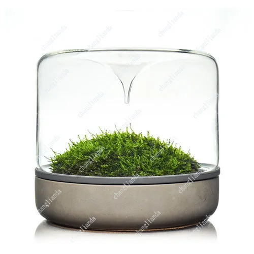 Medium Micro Landscape Bottle Cement Bottom Simple