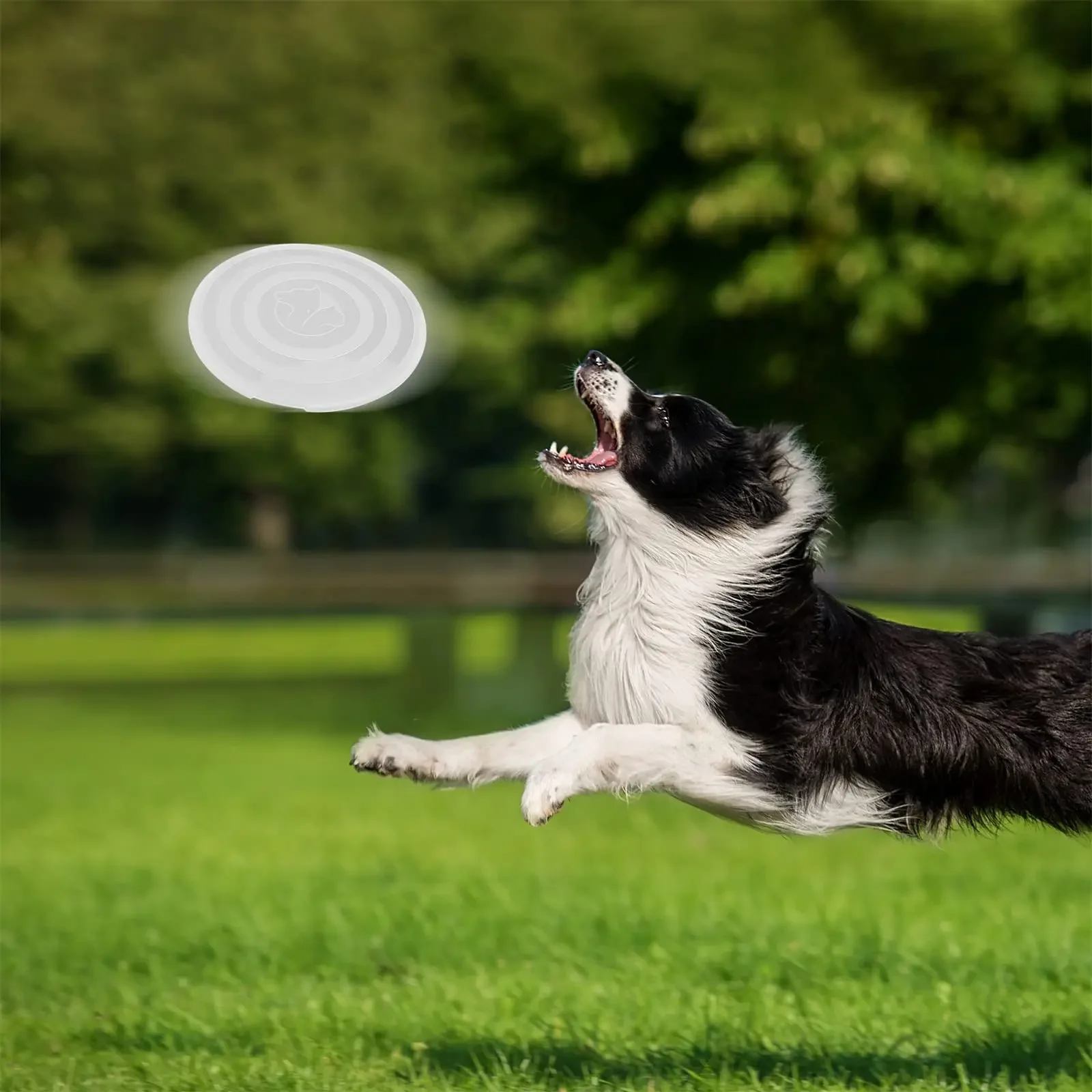 Faltbares Silikon-Wasserbecken für Hundefutter mit Schüssel, Lippen für Haustiere, Outdoor-Reisen, tragbar mit Haken für Heimtierbedarf, Futternapf – Detail 9