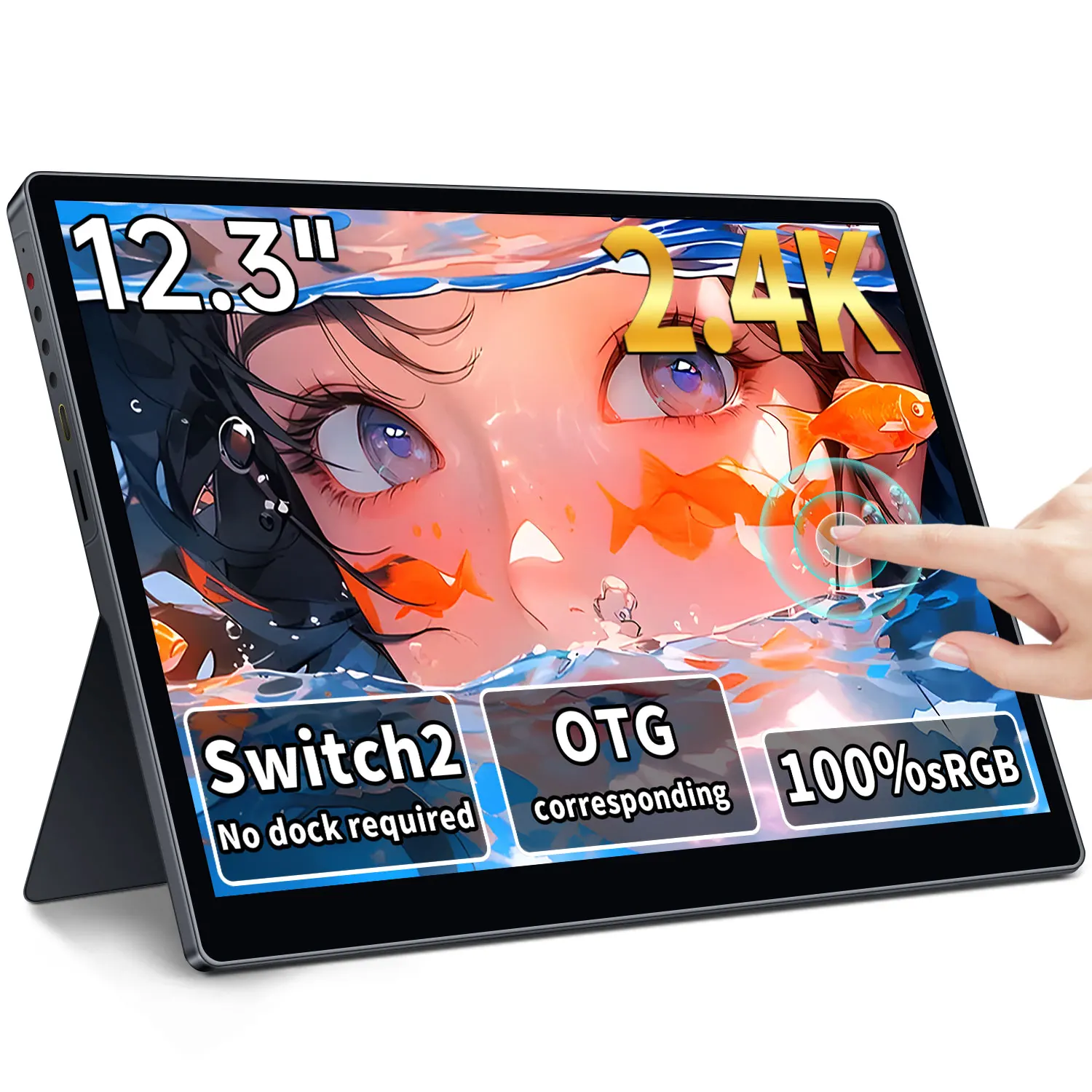 

HAILESI Mobile Monitor 12.3 inches, 2.4K,2400x1600,Touch Panel,Switch 2 Dock Not Required,OTG Compatible, 3:2 Screen 380nit