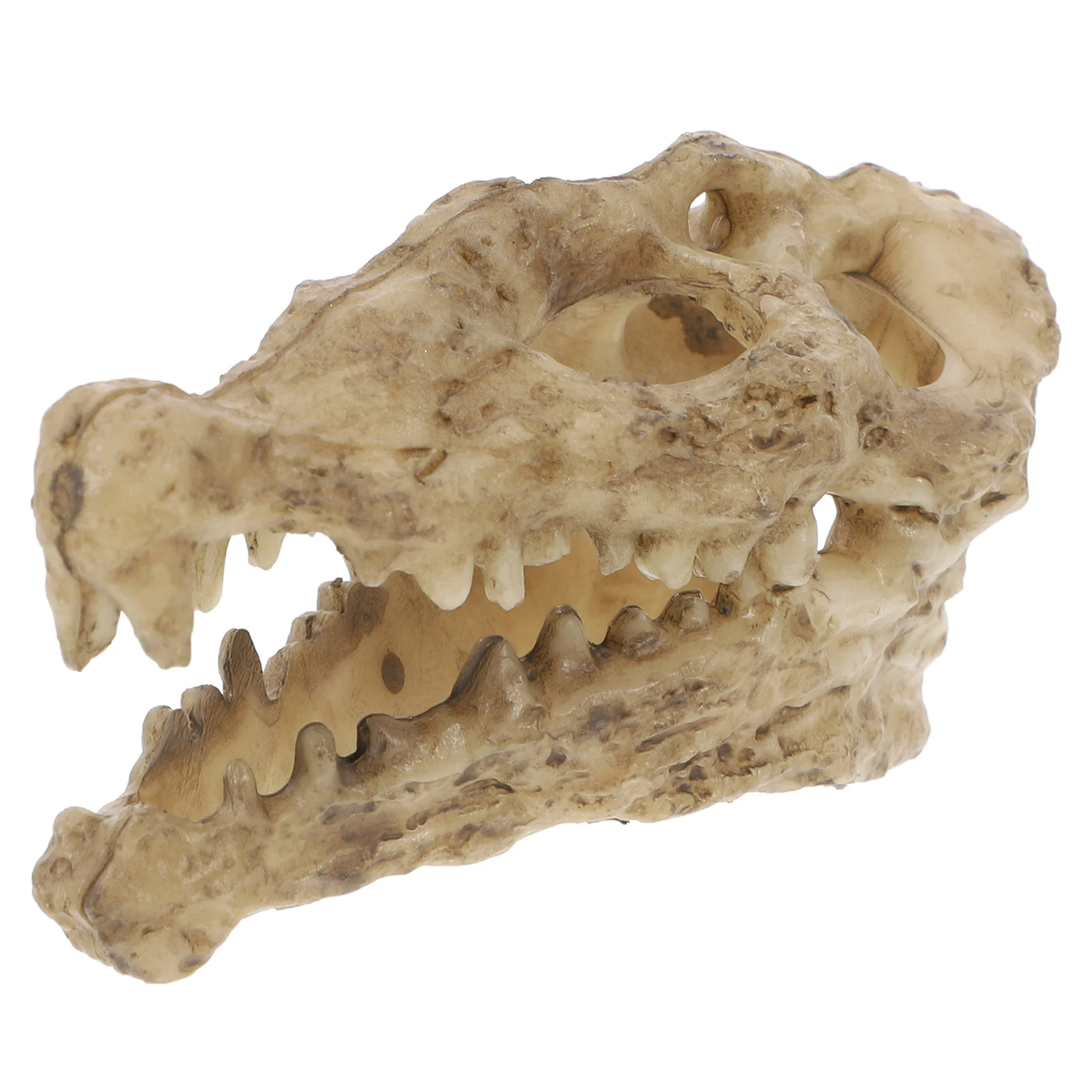 

Crocodile Skull Ornament Resin Lizard Breeding Box For Reptile Tank Gecko Betta Fish Aquarium Habitat Decor Accessories