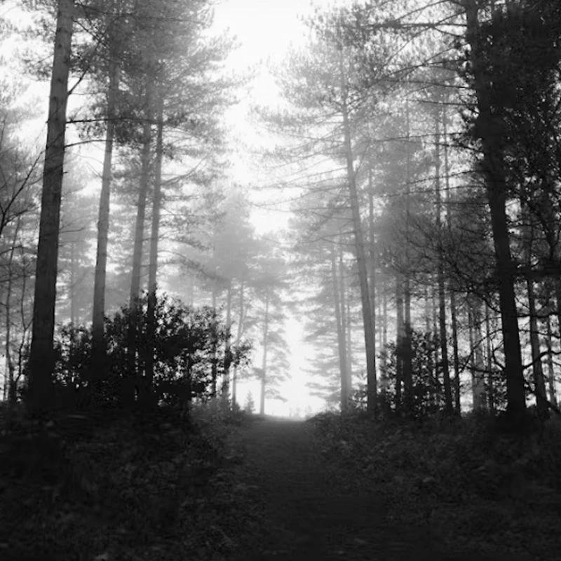 

Комплект CADDX Walksnail Avatar HD Mini 1S Lite: камера Avatar Lite 14x14 мм для FPV-дронов, фристайла, Tinywhoop, Cinewhoop, запчасти для DIY-сборки