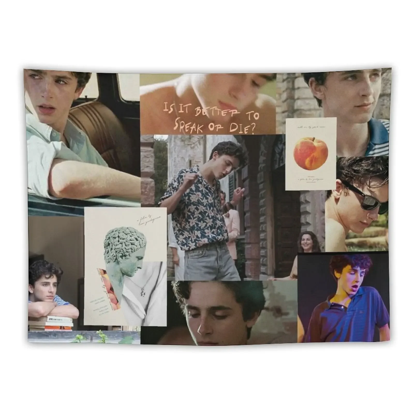 

Timothee Chalamet - Elio Perlman Call Me By Your Name Tapestry Decoration Pictures Room Wall House Decor Tapestry
