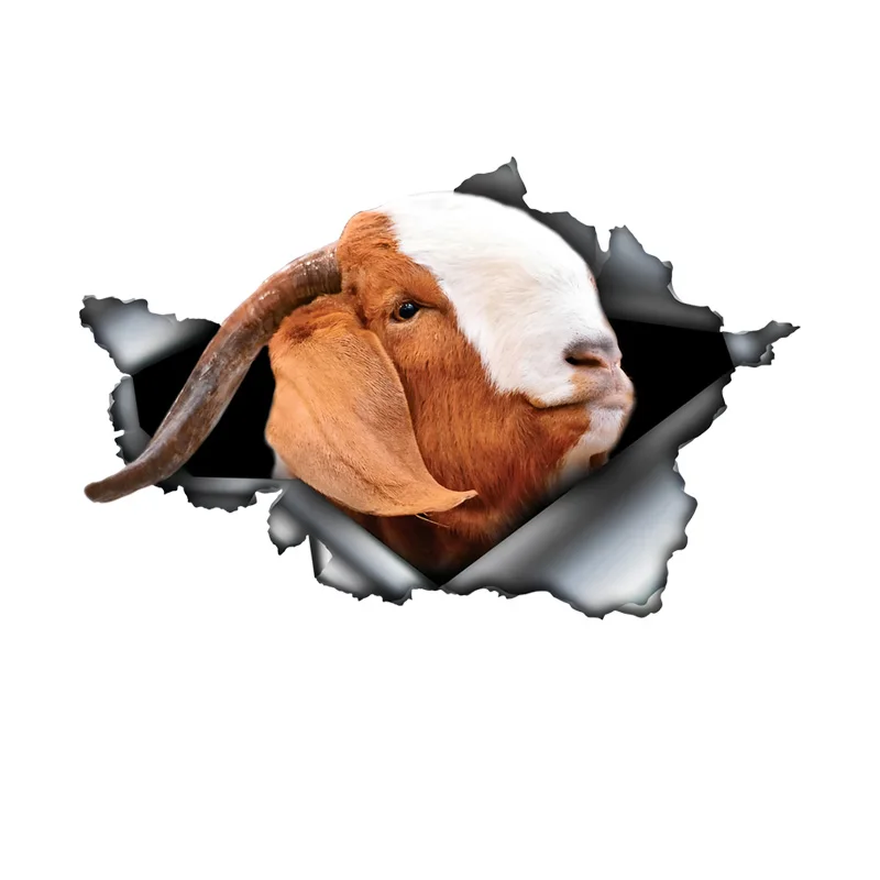 DK392# Boer Goat 3D Vinyl Car Sticker, Fun Insurance Bumper Sticker for Cars, Trucks, Motorcycles, Walls, Windows, PVC Material