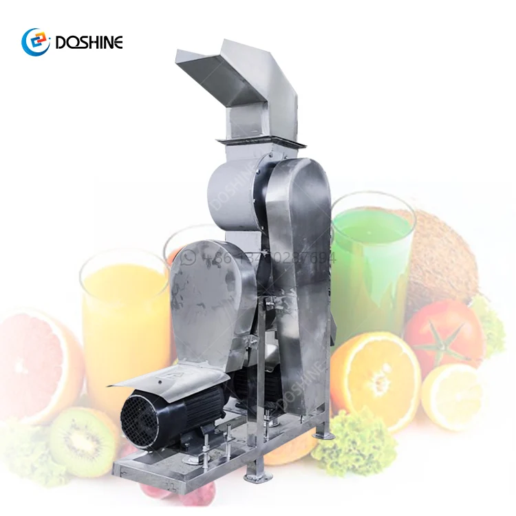 Automatic Fruit Juicer Orange Extractor Making Machine Industrial Cold Press Carrot Juicer Price