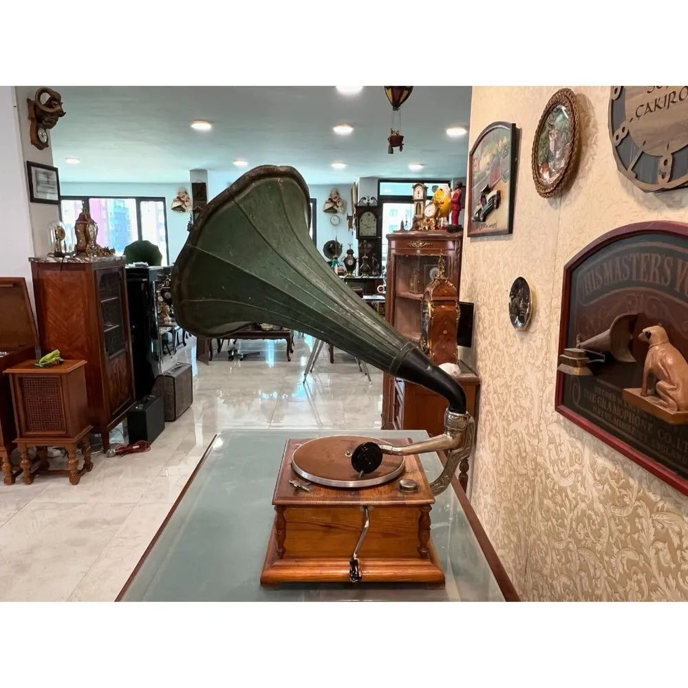 Антикварный граммофон с европейским рогом - голова количеи - отличное состояние - полностью функциональный домашний декор для любителей музыки