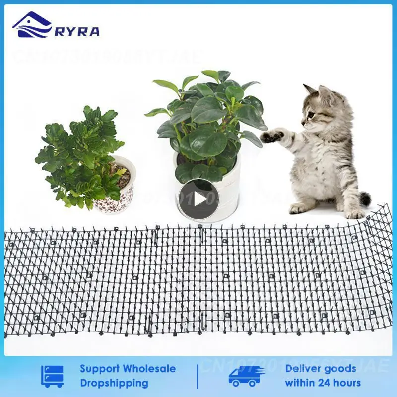 Garden Cat Scat Mats Repellent Mat Safety Trees Skewer Prickle Strips Spikes Prevent Dog Cat Mesh Plastic Spike Pet Products