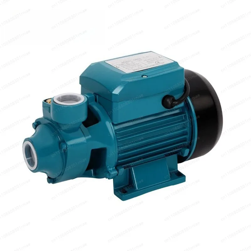 Electric water pump Small household self-priming vortex pump Garden farm rainwater tank Pond irrigation centrifugal