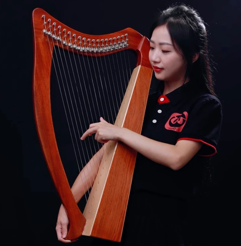 23 Vs 19-String Mahogany Harp Multi-Style for Beginners-Inter Chinese Rich Tone Cost-Effective