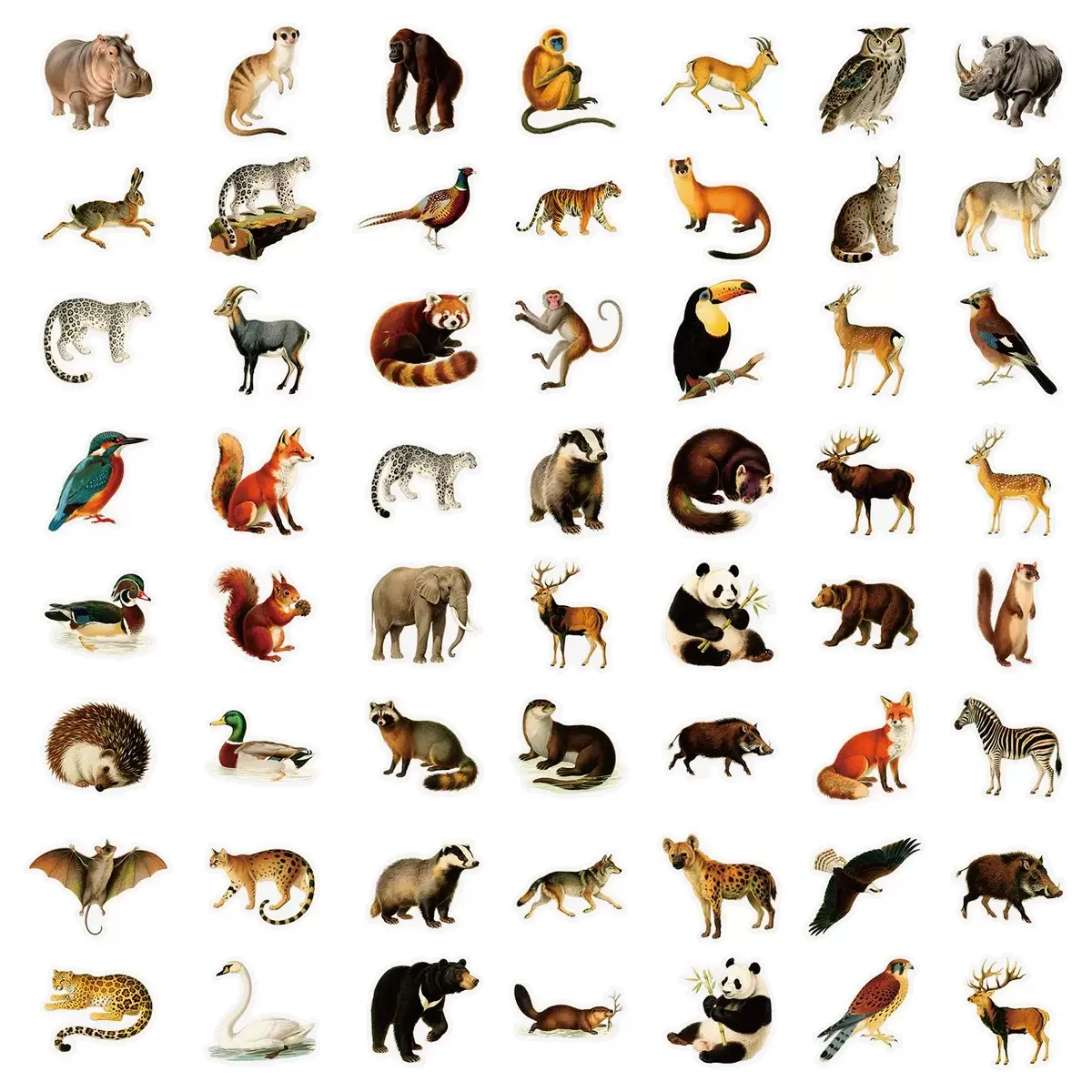 10/50 قطعة مختلطة الرجعية البرية الغابة الحيوانات الأليفة ملصقات الكتابة على الجدران للبنين DIY بها بنفسك لعبة سكرابوكينغ زجاجة ماء الهاتف الثلاجة ملصق
