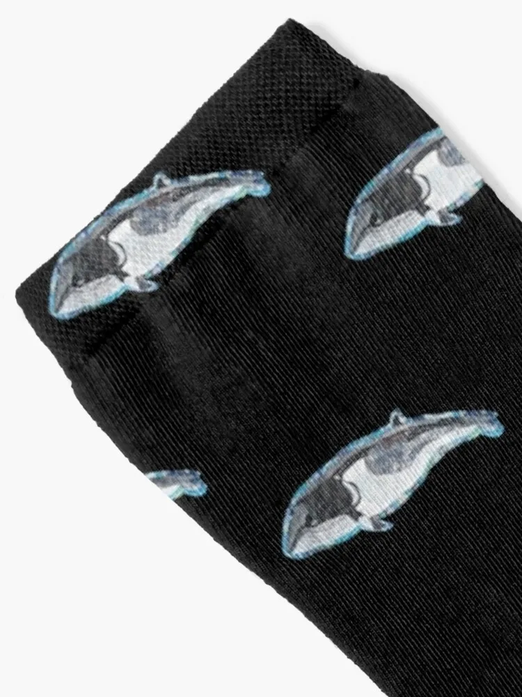 Minke whale T-Shirt Socks colored short basketball Socks Ladies Men's