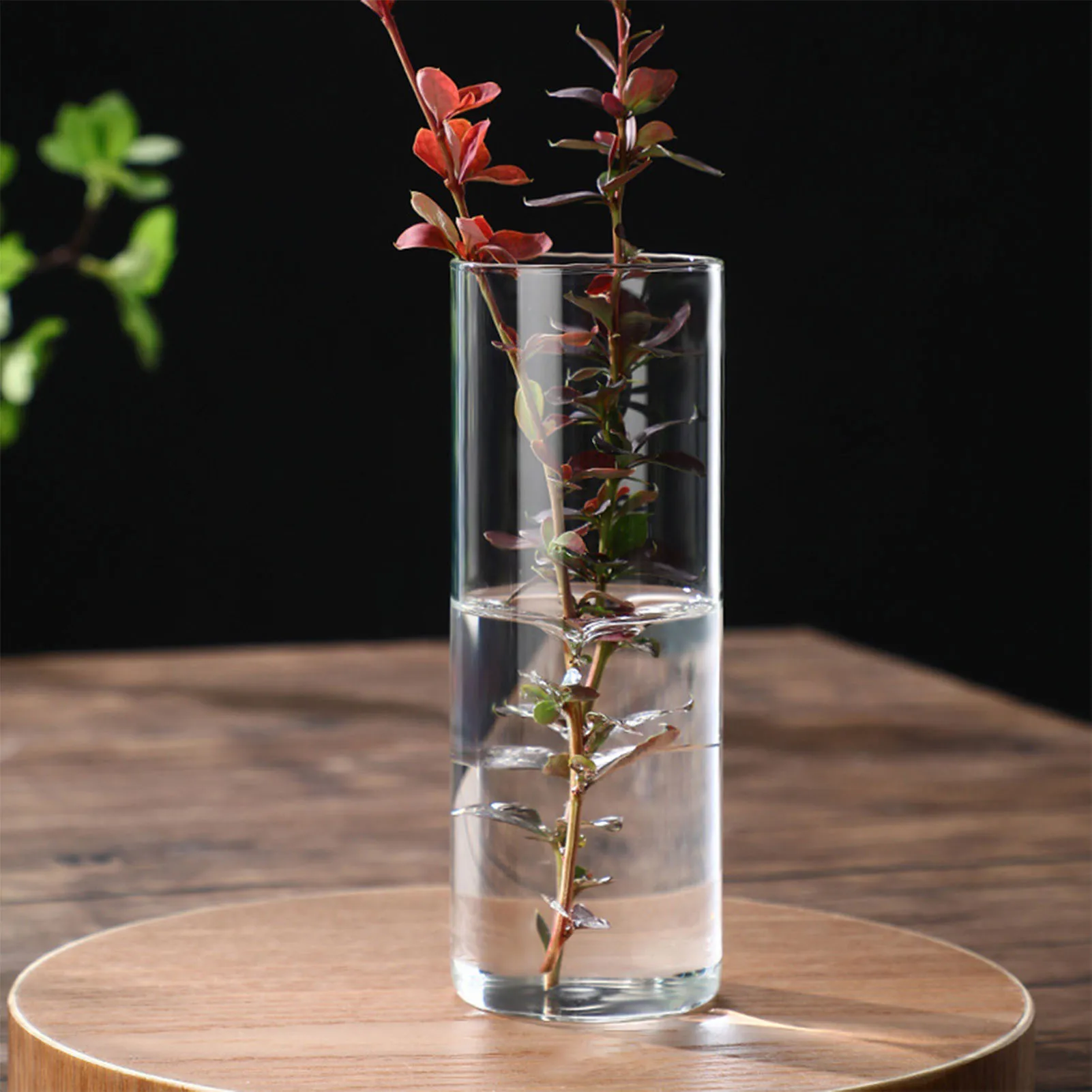 Transparent Glass Hydroponic Vase Minimalist Glass Vase Cylinder Flower Vase for Wedding Living Room Decorative Gift