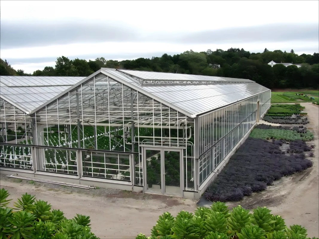 Venlo الدفيئة الزراعية التجارية الساخنة Dip هيكل الصلب المجلفن منزل زجاجي طويل المتانة للخضروات والزهور