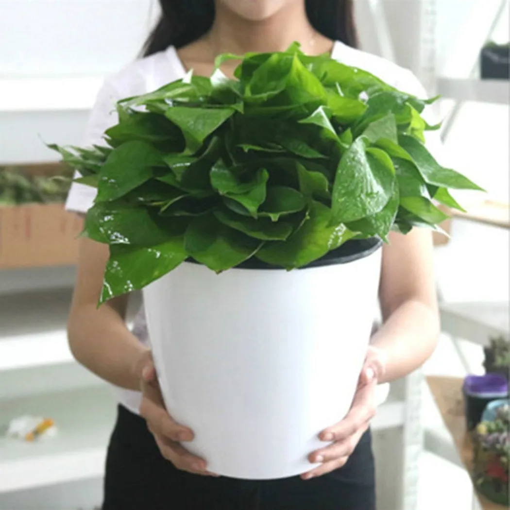 Hydroponic Flower Pot Plastic Self Watering Planter Flowerpot Office Garden Plants Basket Nursery Pots Home Decoration