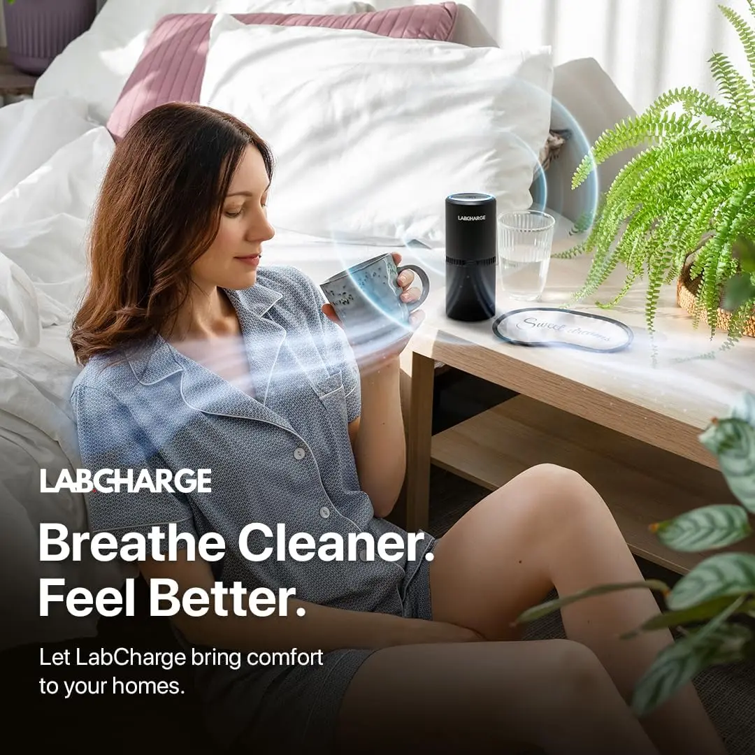 LabCharge kleine ionische luchtreiniger voor thuis en slaapkamer – stil HEPA-filter – dekt 250 m2 - gratis reiniger voor huisdieren, haar, glad