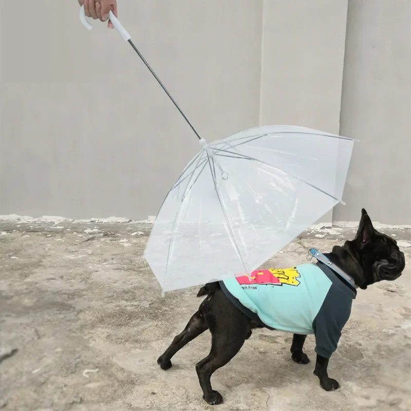 Pet Pupplies Amazon Popular Pet Umbrellas Teddy Small Dog Walking Dog Umbrellas With Leash