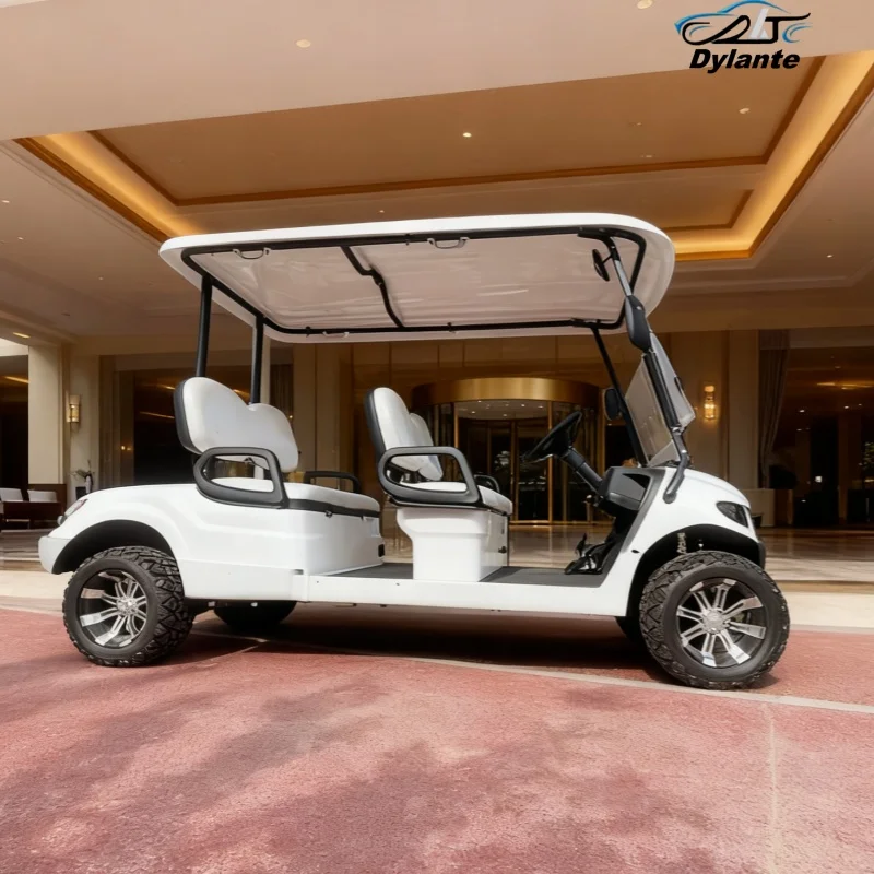 

Лидер продаж, двухместная новая энергетическая электрическая тележка для гольфа с багажником, 60 В, 120 Ач, литиевая батарея, 4-колесный дисковый тормоз, клубный автомобиль