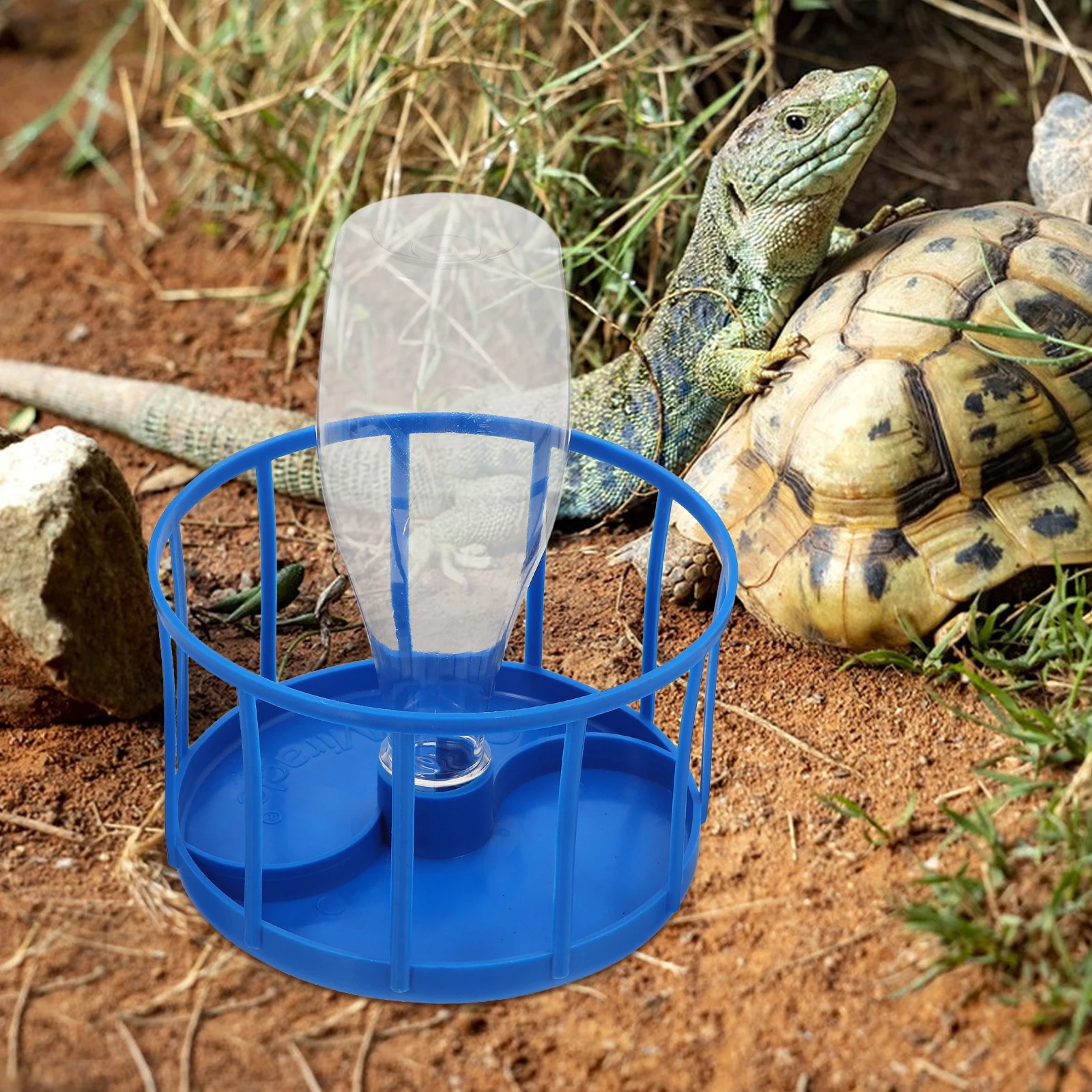 

Automatic Water Feeder Blue Large Reptile Bowl Drinking Fountain Lizard Tank Accessories Reptile Water Bowls Prevents Drying Out