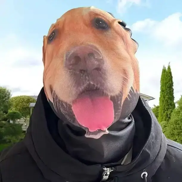 �y�Z�[�����z2025�N�V�� �}�X�N �h�C�c�V�F�p�[�h �h���X������ ������ �Q�[�� �C���^���N�e�B�u �ʔ����w�b�h�M�A