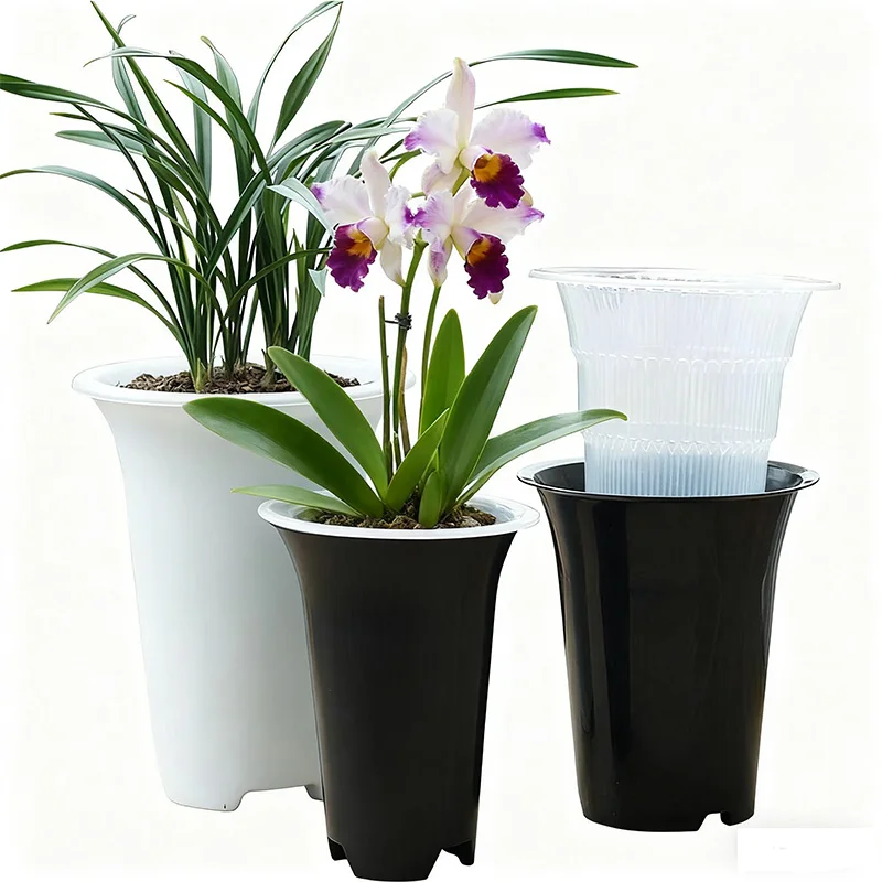 Meshpot Double Wall Orchid Pot for Cattleya & Dendrobium – Mesh Planter with Drainage Holes & Root Control Slots