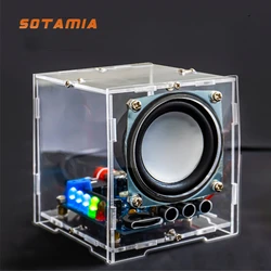 SOTAMIA Audio Portable Bluetooth Speaker Power Amplifier Electronic Product Assembly DIY Kits USB Circuit Welding Practice Kits
