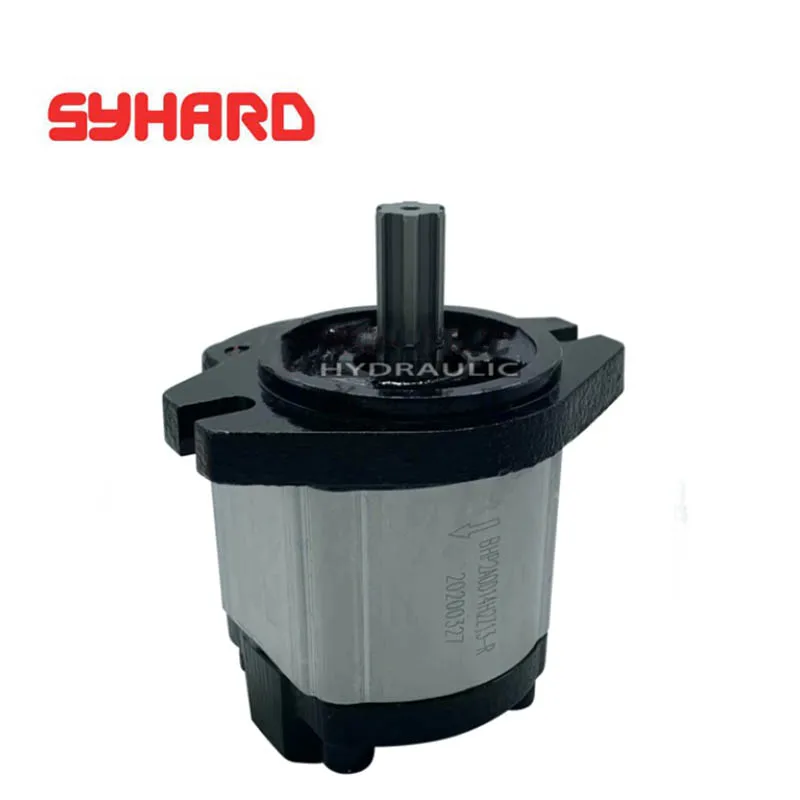 Pompa a ingranaggi HDCBDZ-F14AL12H1-BB HDCBDZ-F3AL12H1-BB HDCBDZ-F4AL12H1-BB HDCBDZ-F6AL12H1-BB