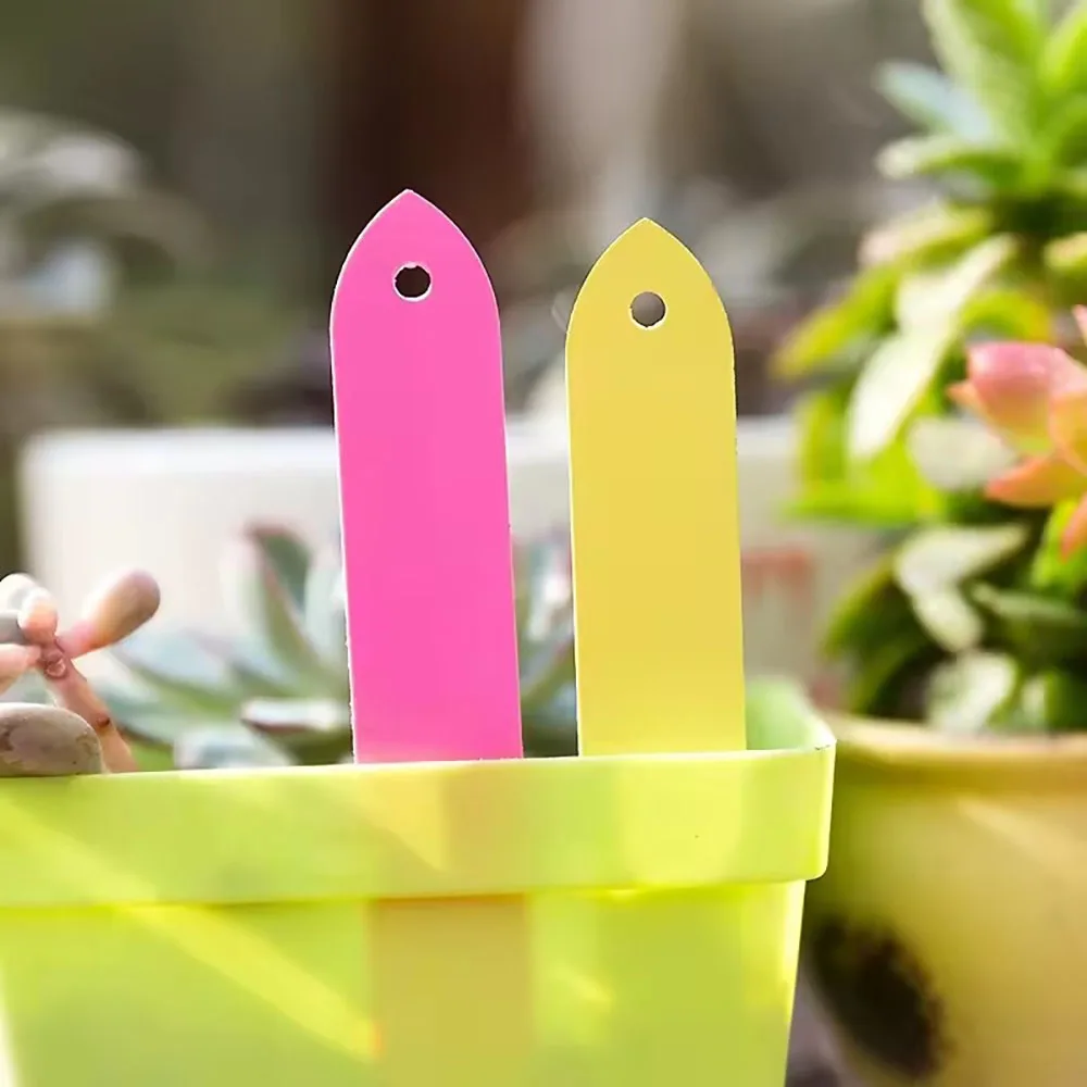 100-300PCS Reusable Garden Plant Nursery Hang Tag Plastic Identification Card Waterproof Ring Sign Vegetables Labels Markers Too