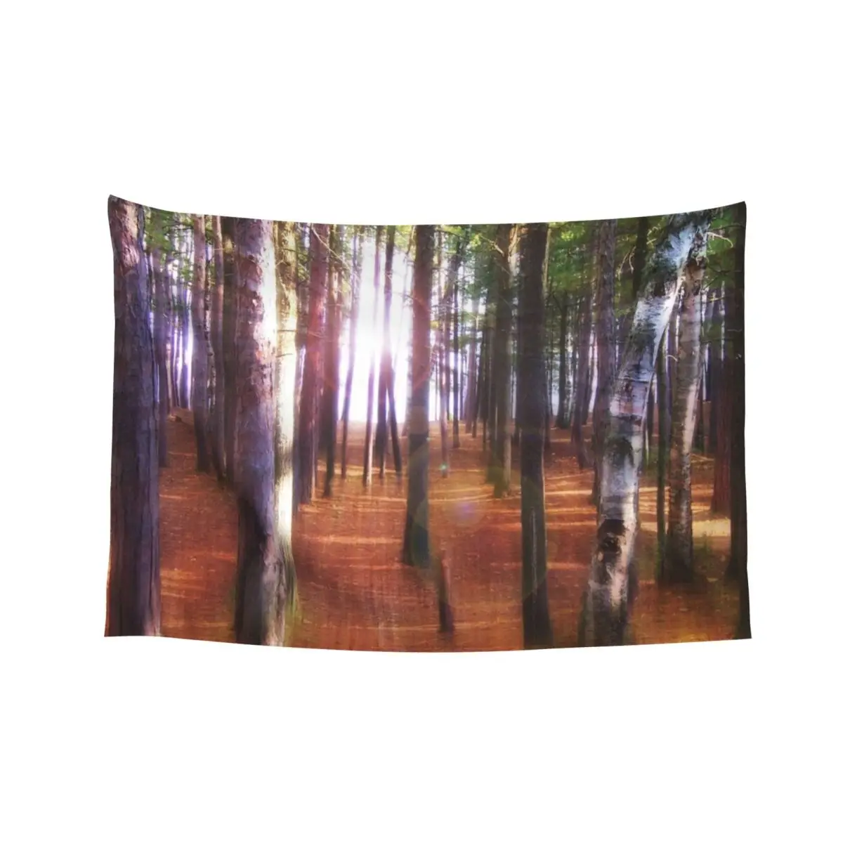 

Morning In The Forest Tapestry Cute Room Decor Kawaii Room Decor Decorative Wall Murals Room Decor For Girls Tapestry