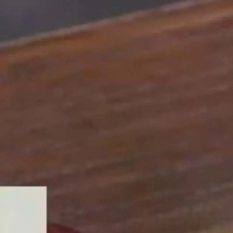 موزع روائح الزيوت العطرية الخشبية-تصميم الدب مخلب القط العطر الطبيعي تشتت ديكور غرفة النوم الناشر رائحة السيارة المنزلية #1