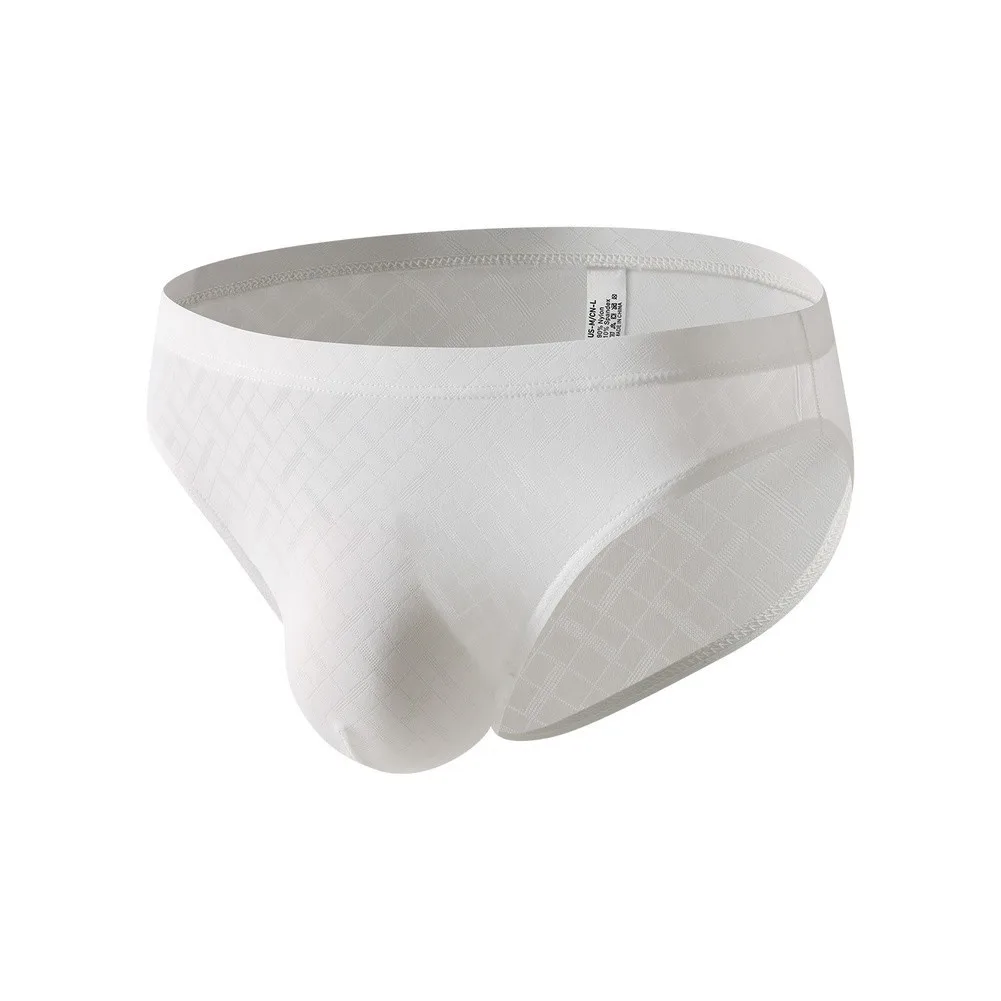 Bulge Pouch Briefs for Men Ice Silk Low Waist Underwear Breathable Stretch Fabric Sports Underpants Size Range M-2XL