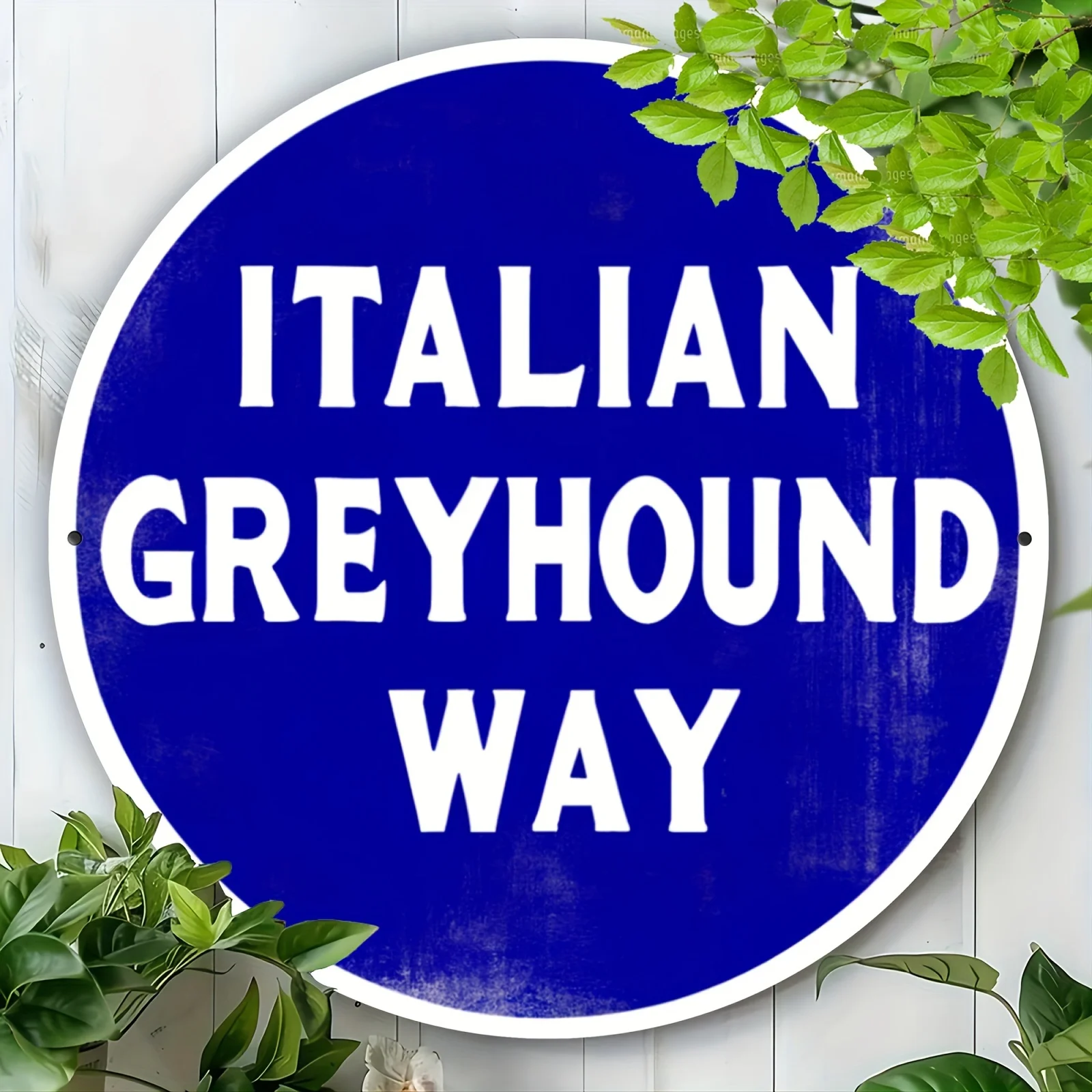 2D Flat, 2D Plane - 2D Plane, 1pc of 2D Printed Metal Iron Sign, 19.99x19.99 cm, 1pc, Navy Blue, Italian Greyhound Street Vintag