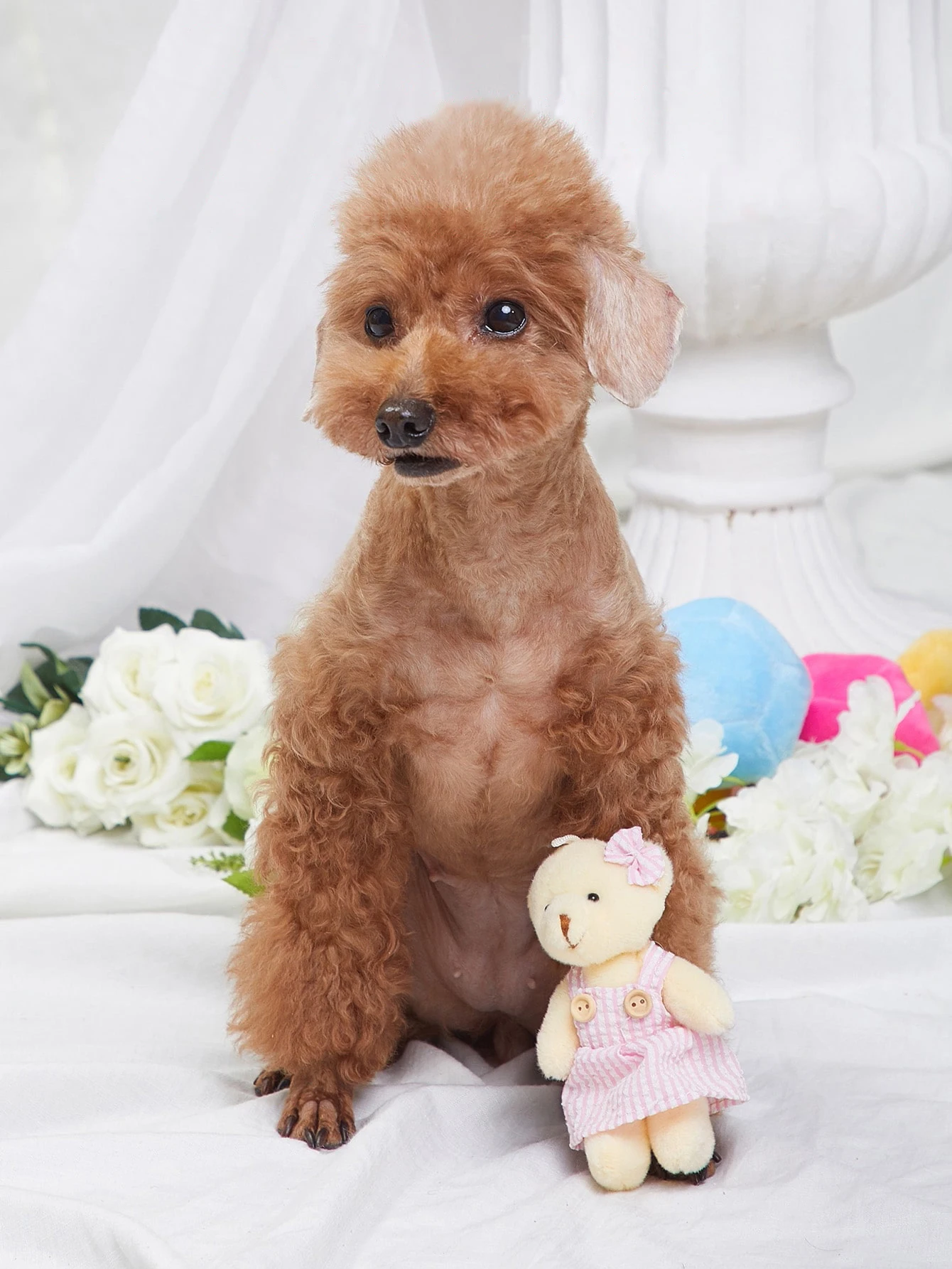 Apron Bear Style Pet Dog Toy Plush Toy Dog Supplies Suitable For All Small Dogs Pet Toys Fun Durable Chewing Teeth