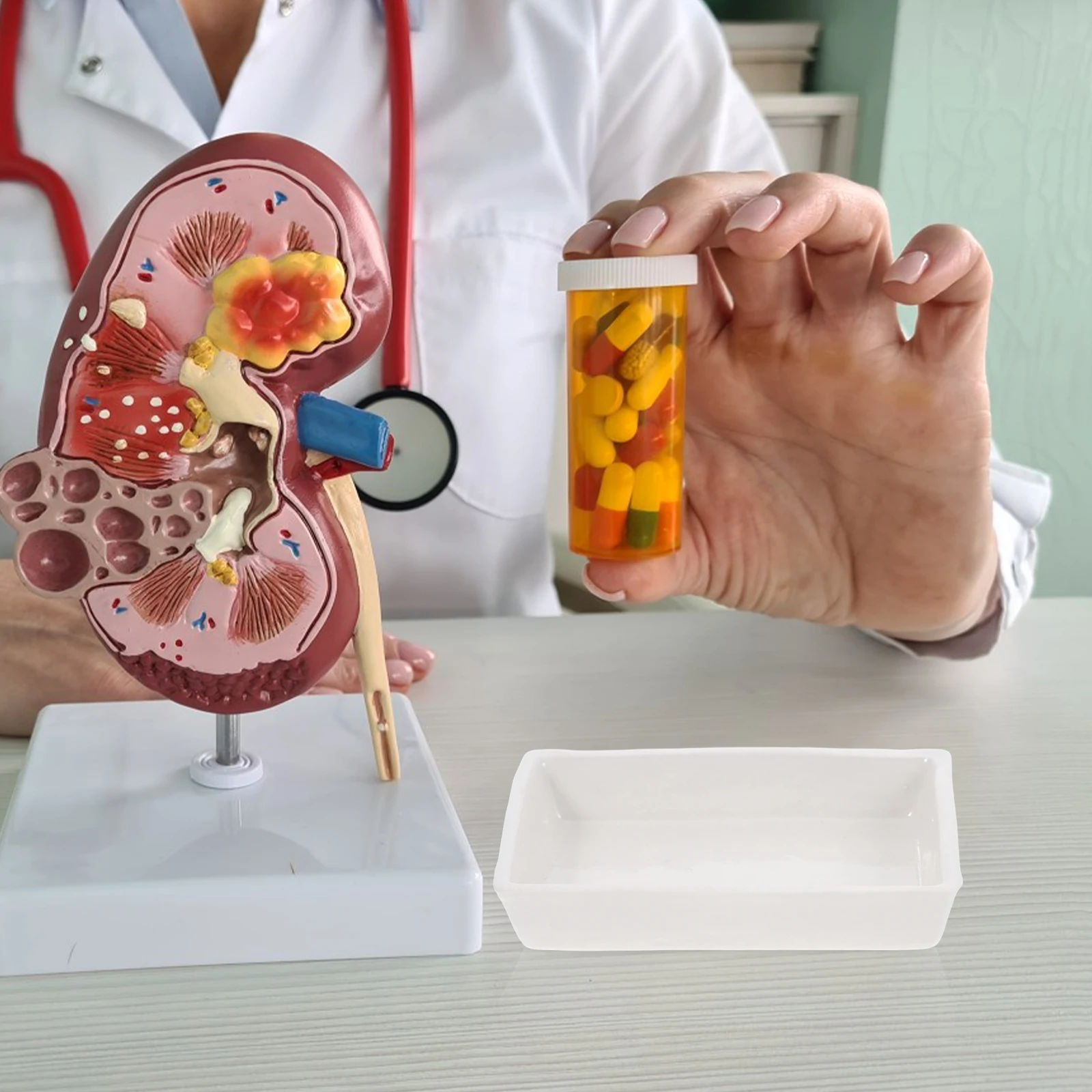 طبق رمادي من البورسلين المقاوم للحرارة العالية، صينية سيراميك ذات سعة كبيرة، تجربة مختبر، حامل مستطيل كيميائي صغير