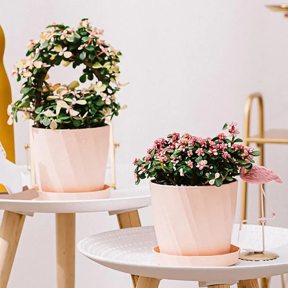 INS نمط الشمال بسيط تقليد أصيص زهور سيراميك البلاستيك عصاري الزهرية الحديثة جالون صغير زارع ديكور المنزل