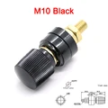 M10 Negro