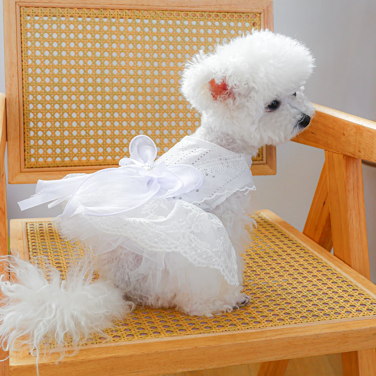 1PC Pet Clothing Cat and Dog Spring/Summer Thin White Wedding Princess Dress Suitable for Small and Medium sized Dogs