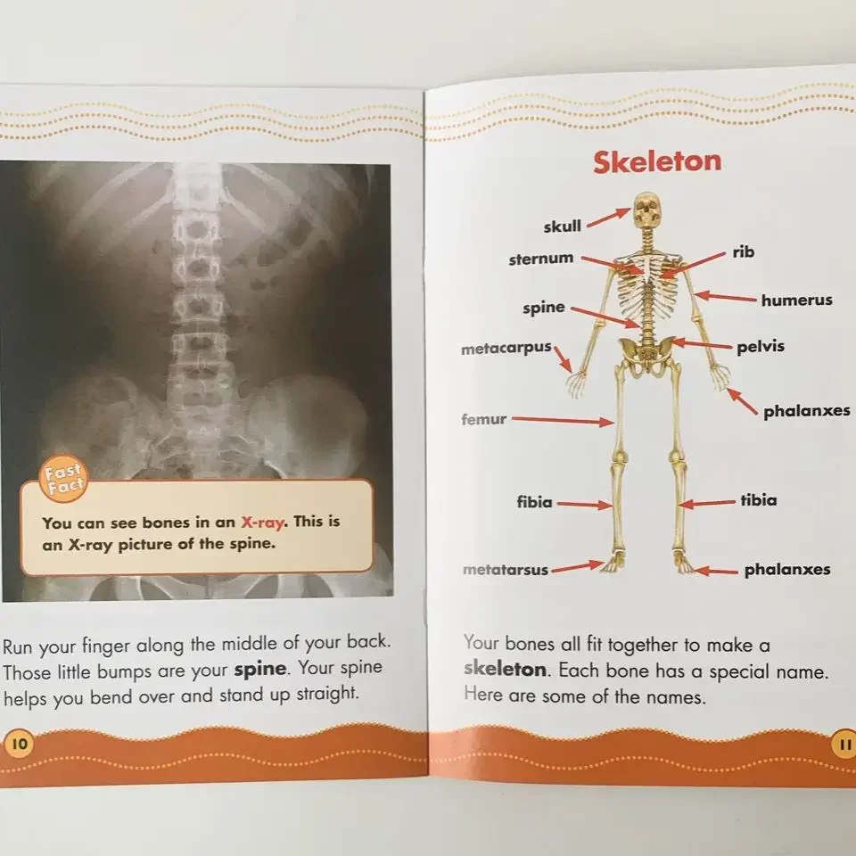 English Science 30 Books Scholastic Science Vocabulary Readers Educational Toys Montessori English Books for Children Reading