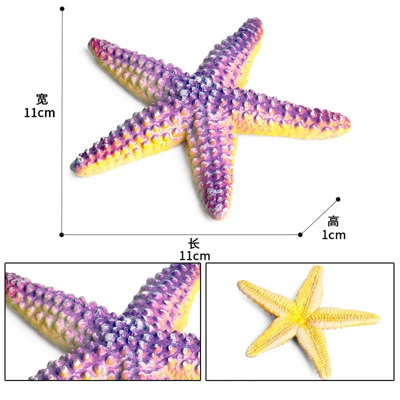 Juguetes Educativos de playa para niños, simulación de estrella de mar de plástico estático, modelo de Animal marino, adornos decorativos, ciencia y educación