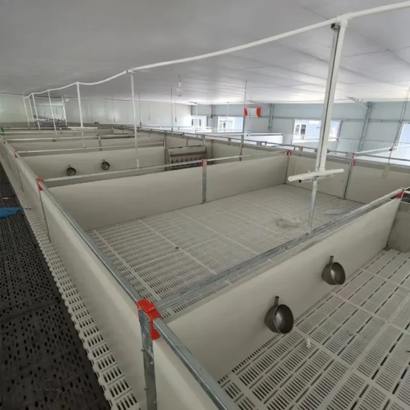 Best-selling high-quality stainless steel pig feeders and nursery beds
