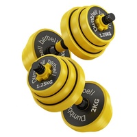 Weight Commercial Cast Iron Dumbbells Adjustable Dumbbell 40 kg Steel Set Gym Workout 66lb 30kg Trade Weight Lifting Barbell