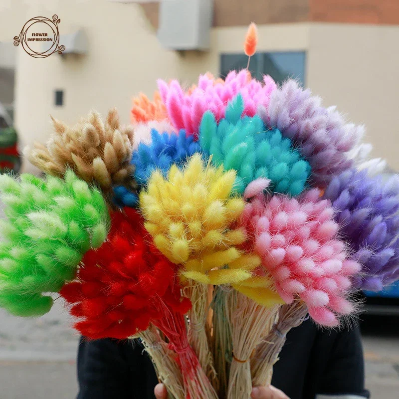 50PCS Rabbit Tail Dried Flowers Natural Bunny Tails Grass Bouquet Boho Home Decor Lagurus Ovatus Wedding Table Decor Accessories view 5