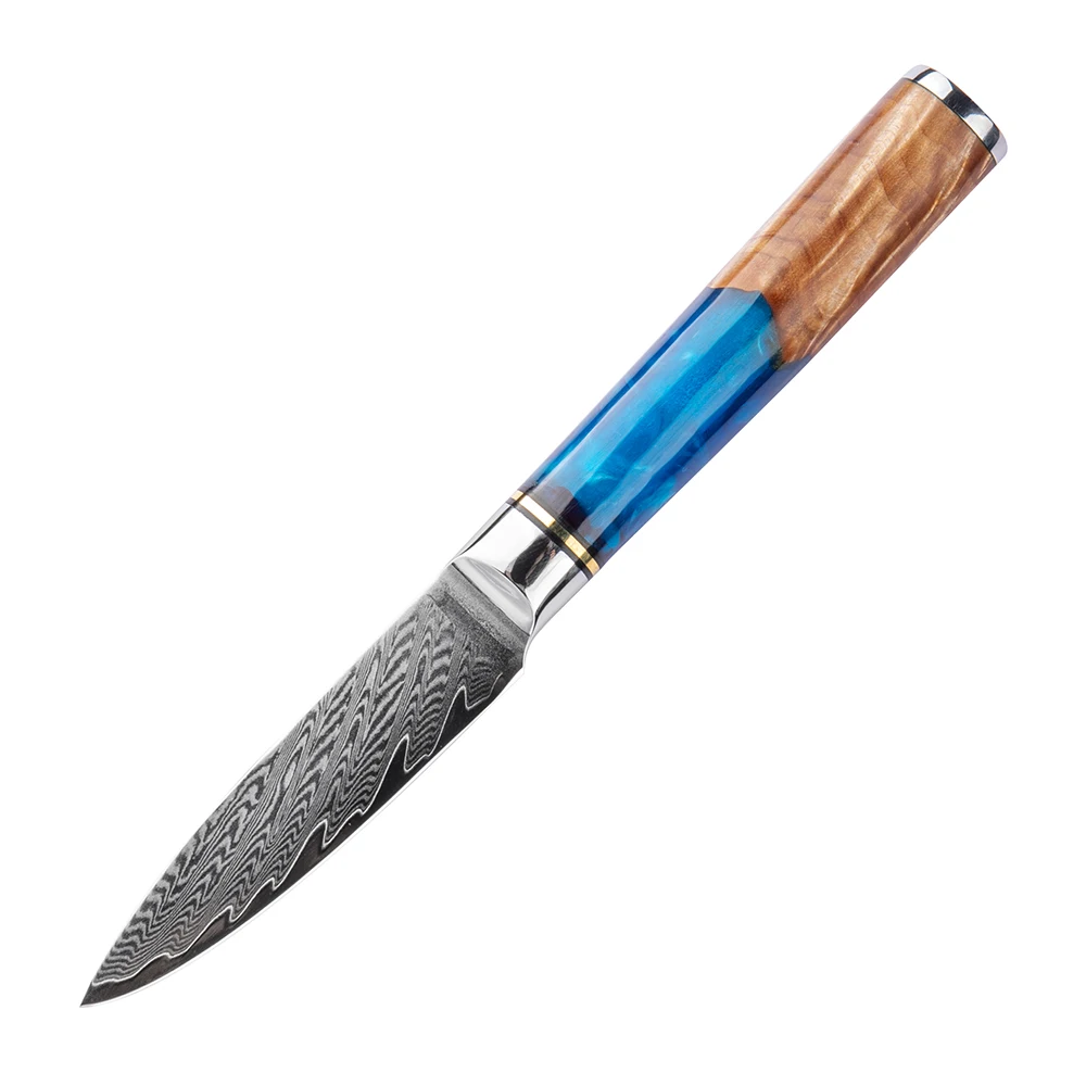 YAN 3.5 Inch Japanese Damascus Chef Knife 67 Layers VG10 10Cr15CoMoV Steel Core Paring Knife Resin Blue Maple Burl Handle